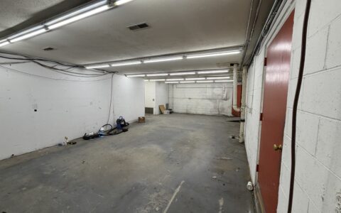 IMG_4461